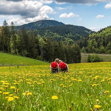 Ferienhaus Im Gaessle, Kirchzarten, Dreisamtal Dış mekan fotoğraf
